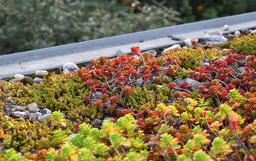 the cost of Scarr green roof installation