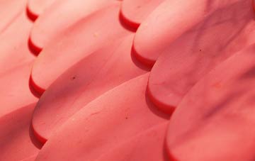 Scarr plastic roof costs